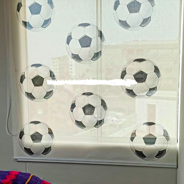 Pelotas1